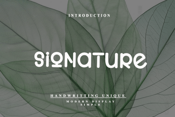 Signature: The Modern Display Font That Feels Like a Handshake